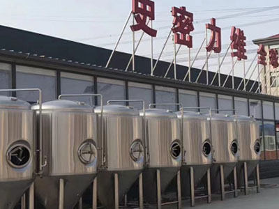 临沂精酿啤酒设备厂—如何判断精酿啤酒设备的密封件需要更换？